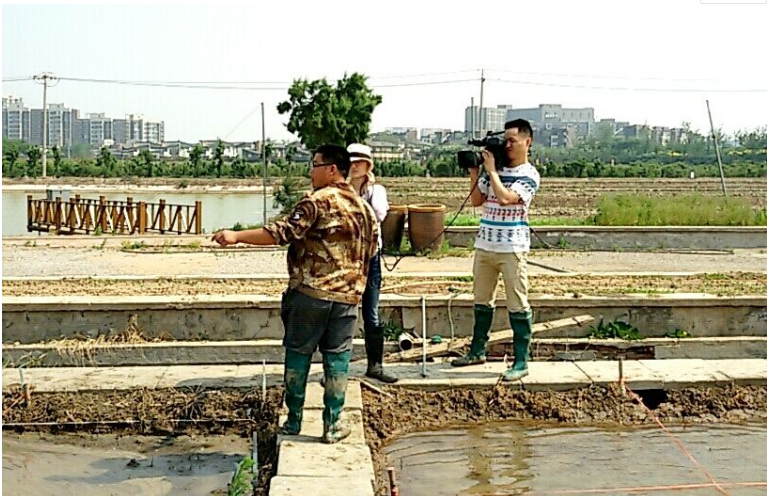 天津滨海电视台到我司科研基地采访